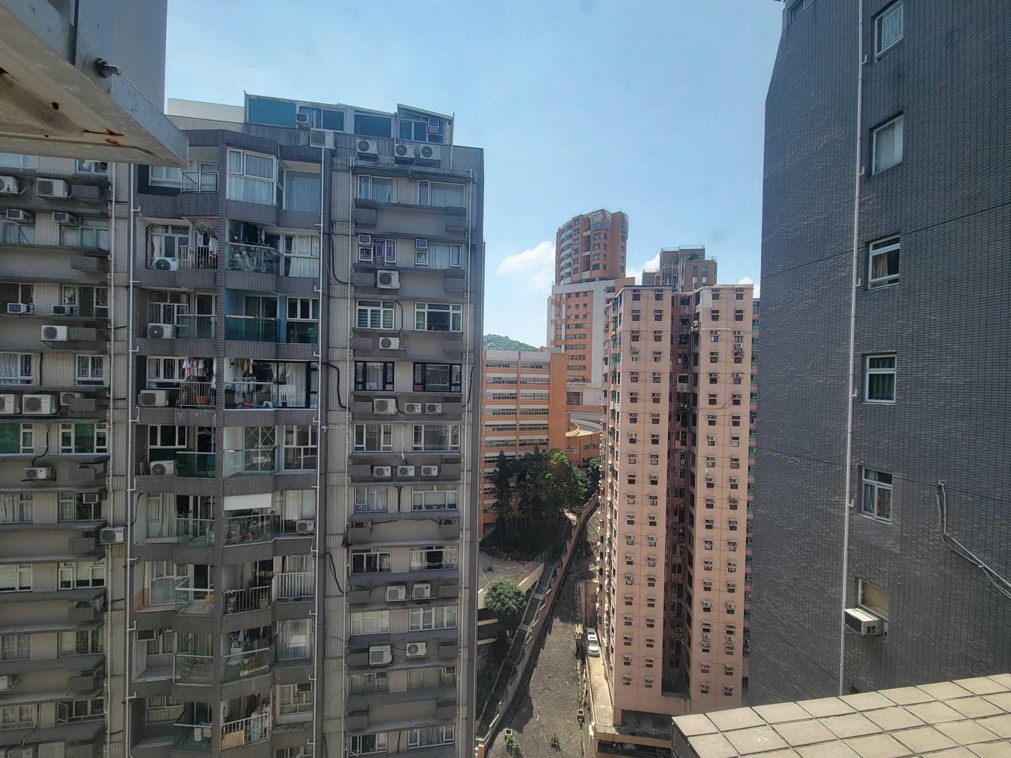 富麗園